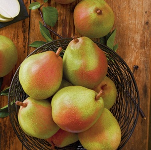 Juicy Royal Riviera® Pears are kosher gifts that complement any celebration.