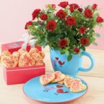 Lovebird and Mini Rose Gift | Valentine's Day Gifts