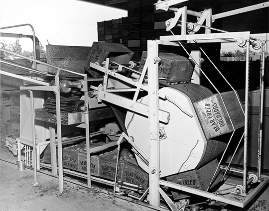 An old machine for moving pears from crates to conveyer belts.