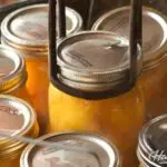 Easy Canned Peaches: How to Can Peaches, with Sandy Coughlin