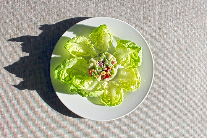 Apple Salad Recipe Waldorf Salad plated