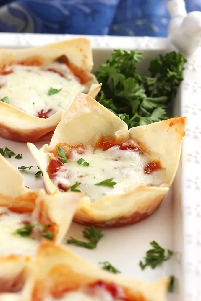 Relish Wontons garnished with parsley