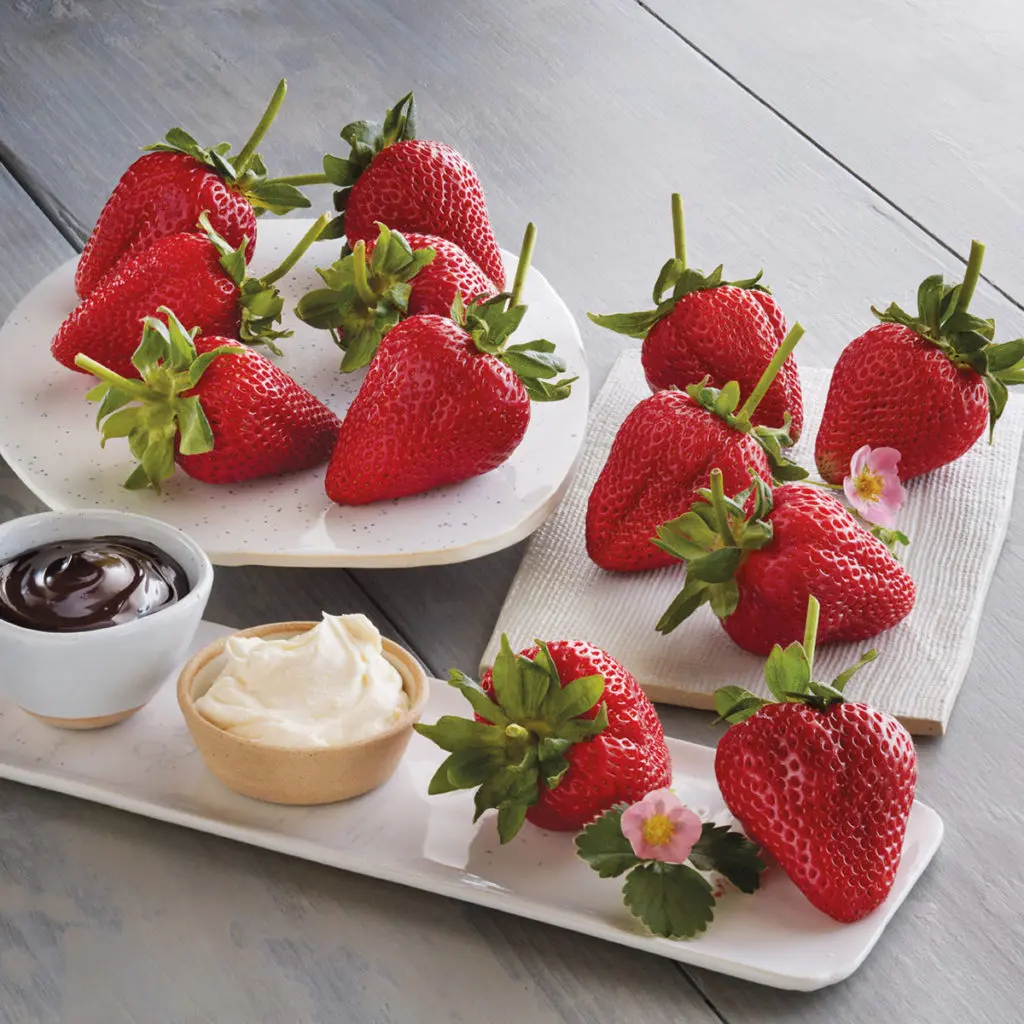 chocolate covered strawberries for mother's day