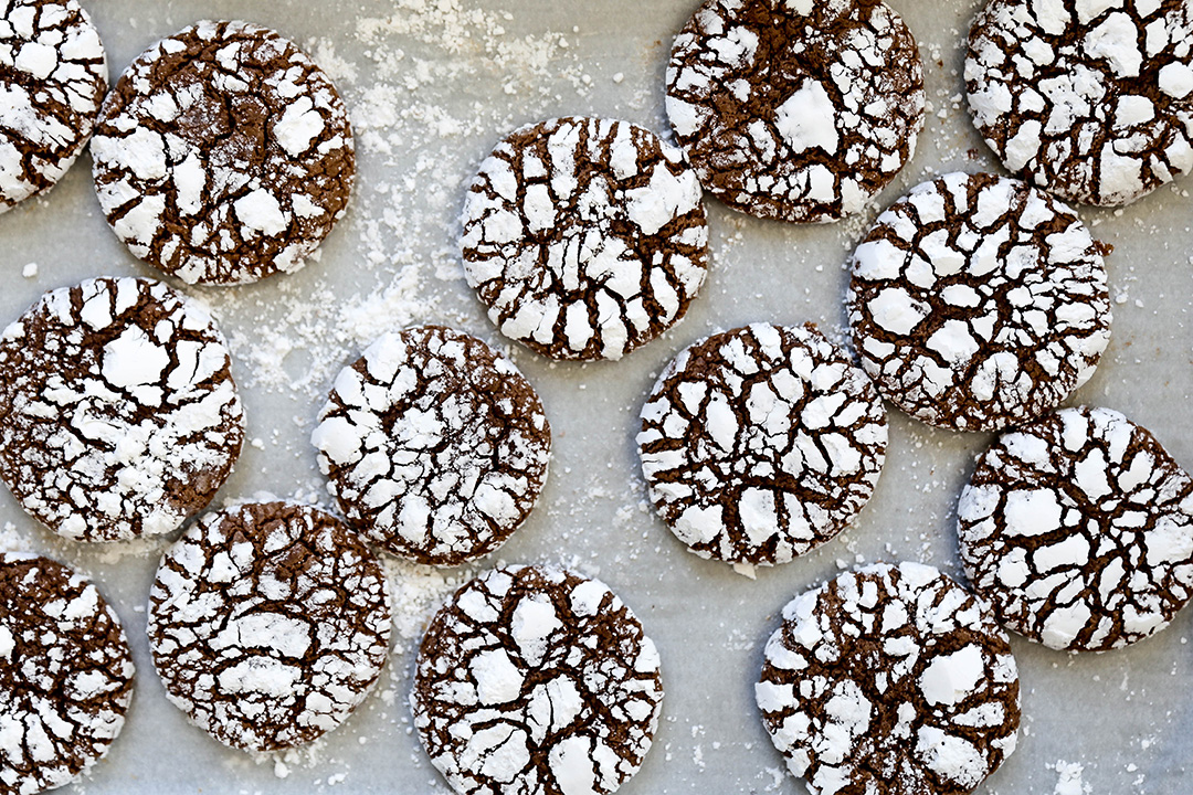 hot cocoa cookies