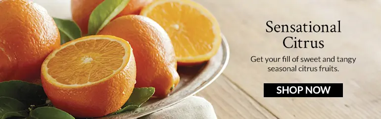 orange scones citrus banner ad