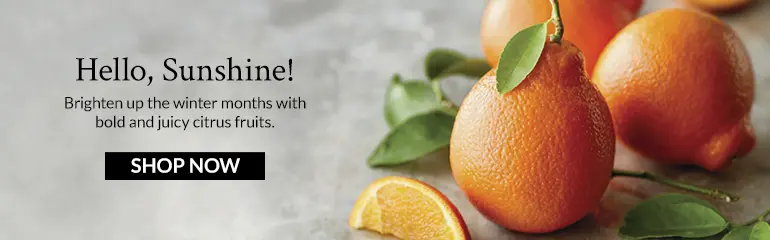 orange marmalade citrus collection banner ad