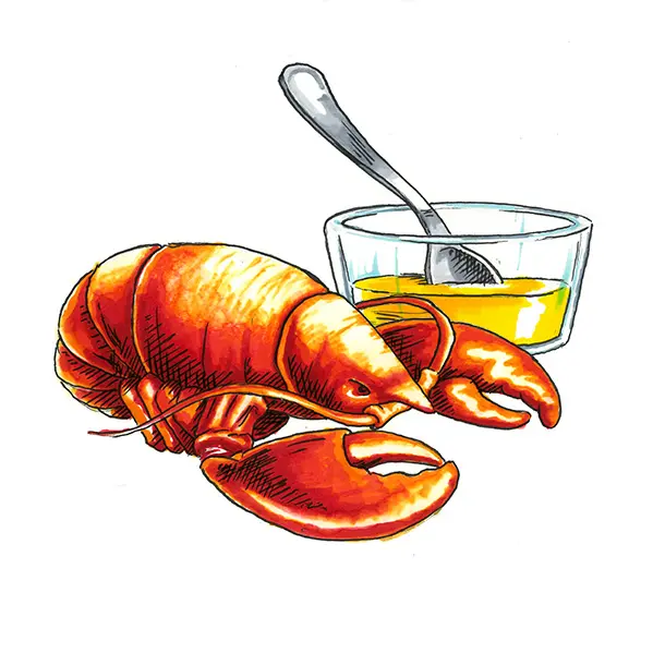 lobster and drawn butter illustration
