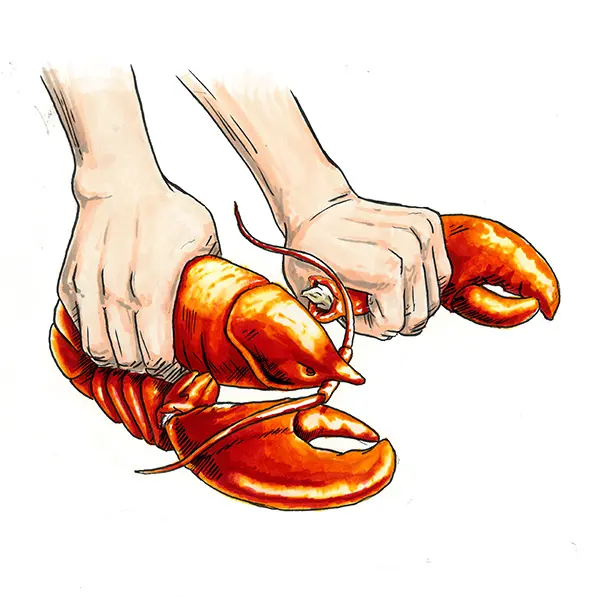 How To Eat A Lobster Guide