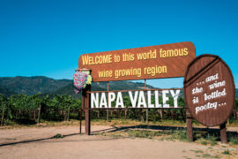 bachelorette party -- napa valley sign image