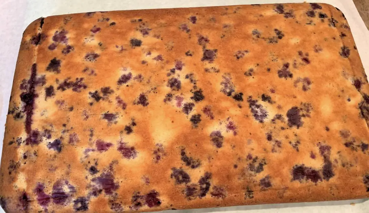 blueberry-cake