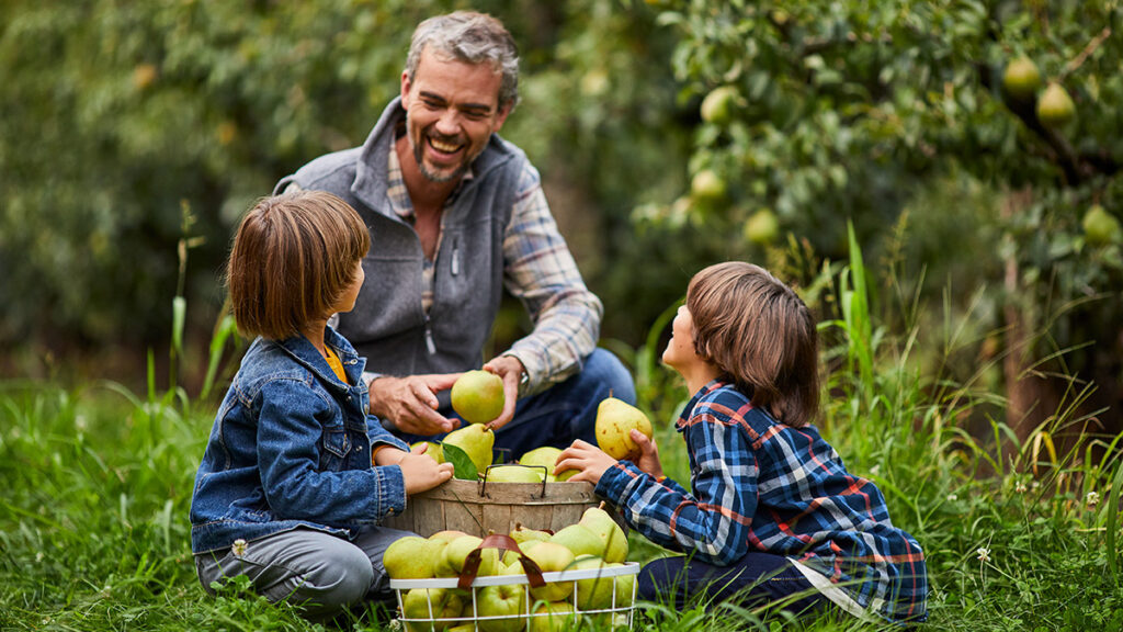 Grandparents day image - grandparents and grandchildren picking pears