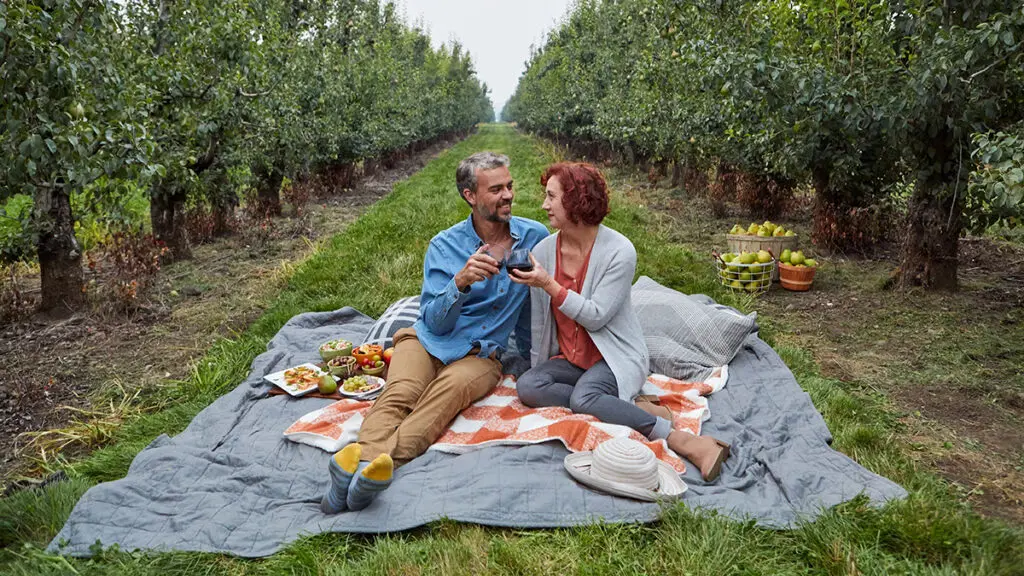 fall wine pairings image -- couple drinking wine on picnic