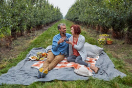 fall wine pairings image -- couple drinking wine on picnic