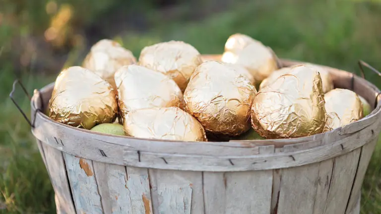 A photo of gold pears in a basket in an orchard