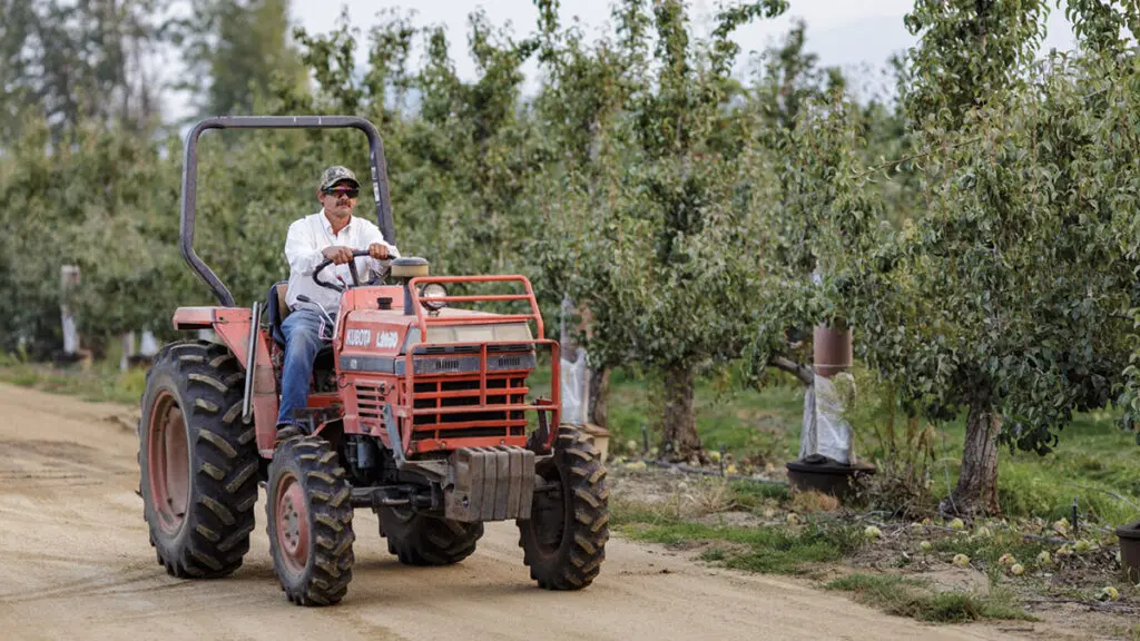 labor day facts image -- man driving a tractor