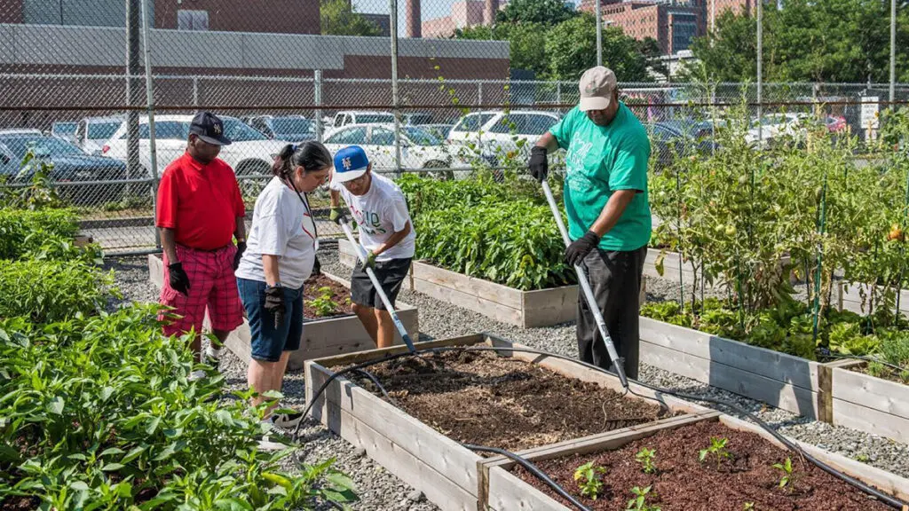 Smile Farms image - gardeners tilling a garden bed