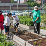 Planting the Seeds: The Story of Smile Farms