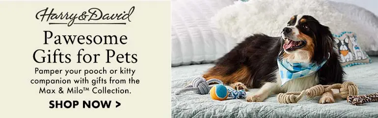 Pawesome Gifts for Pets - Max & Milo Collection Banner ad