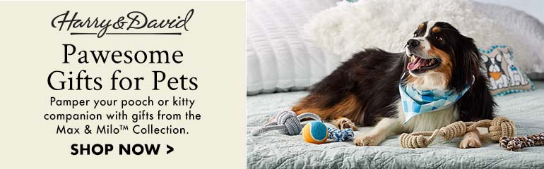 Pawesome Gifts for Pets Max Milo Collection Banner ad