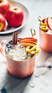 Moscow Mule recipe image - moscow mule in copper mug with a twist of lemon, apple slices and a stick of cinnamon.