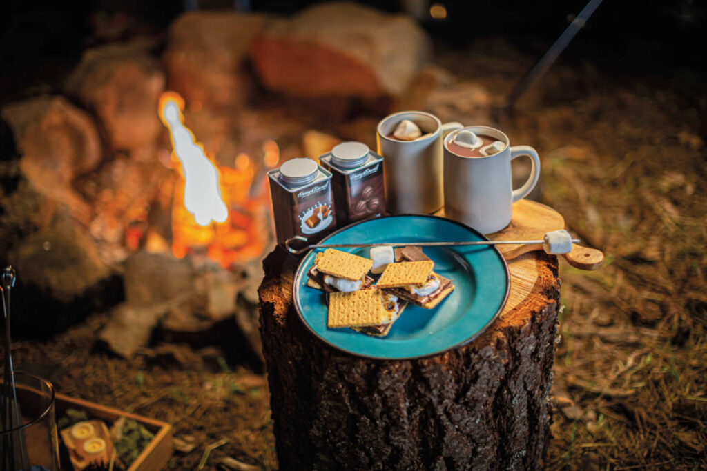fall birthday party ideas image - s'mores and hot chocolate on a stump with a campfire in the background.