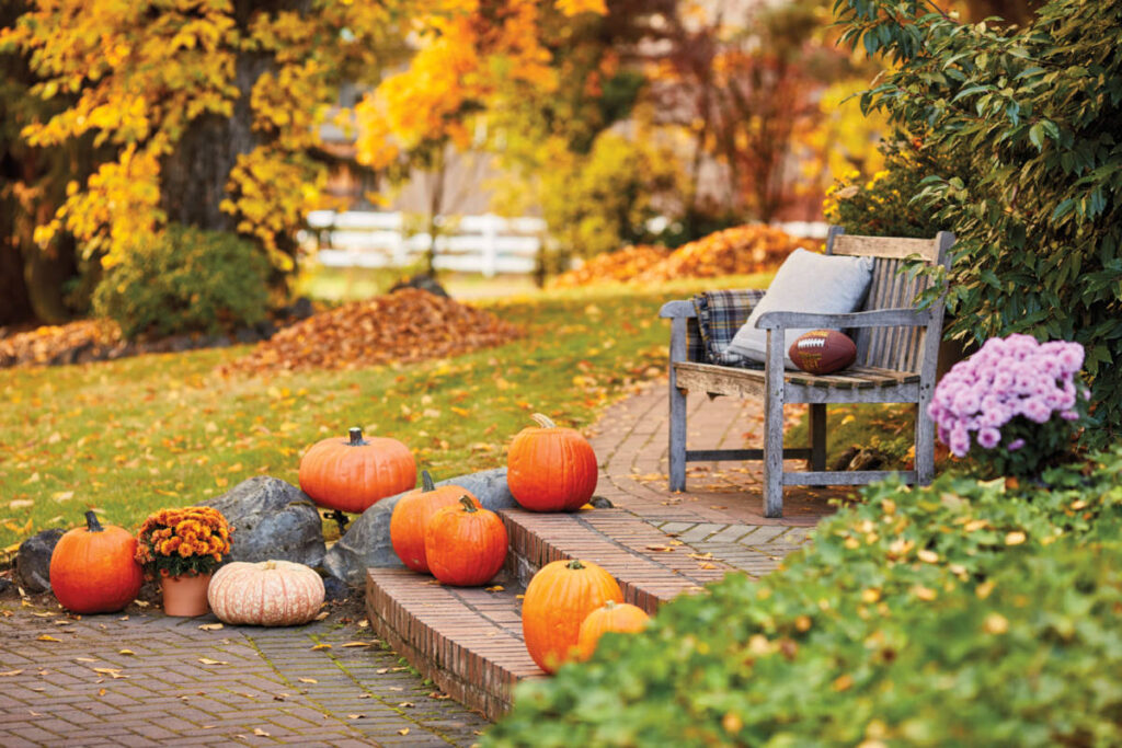 fall birthday party ideas image - pumpkins on a walkway to a patio.