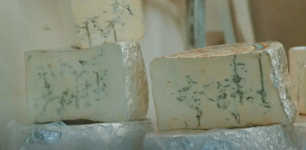 rogue creamery image - rogue creamery blue cheese closeup