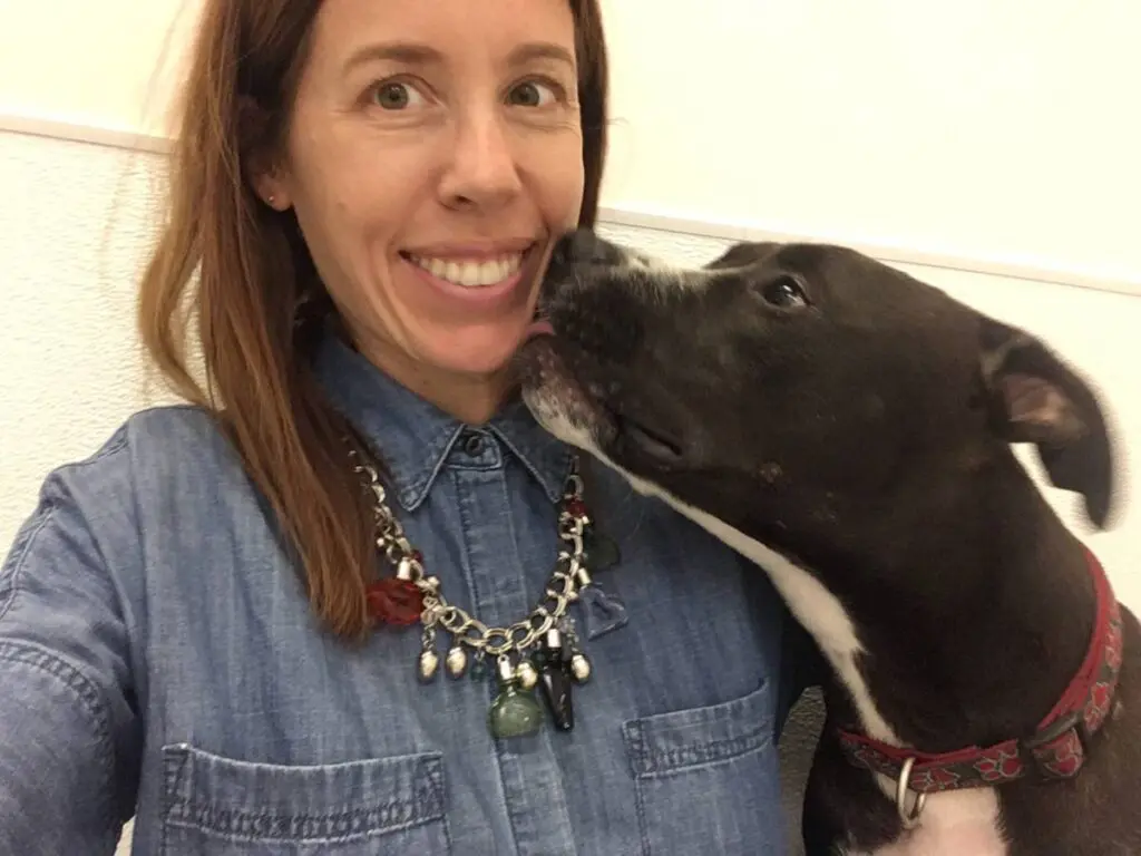 shelter animals image - woman taking a selfie of her and a dog who's licking her face.