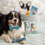 Max & Milo Pet Gift Guide