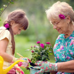 Photo of memory gardens with a grandmother and granddaughter gardening