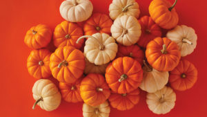 a photo of facts about pumpkins with a pile of mini pumpkins and an orange background.