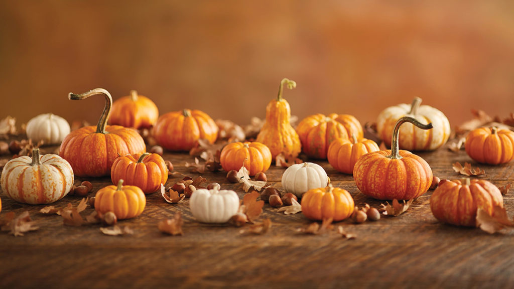 11 Facts About Pumpkins – The Table by Harry & David