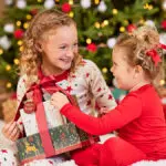 Top 10 Christmas Gifts Under $30