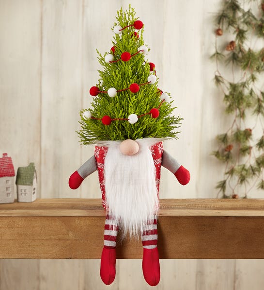 A photo of gifts under $50 with a cypress tree in a pot that's decorated to look like a gnome with a beard and legs that dangle off of the table it sits on.