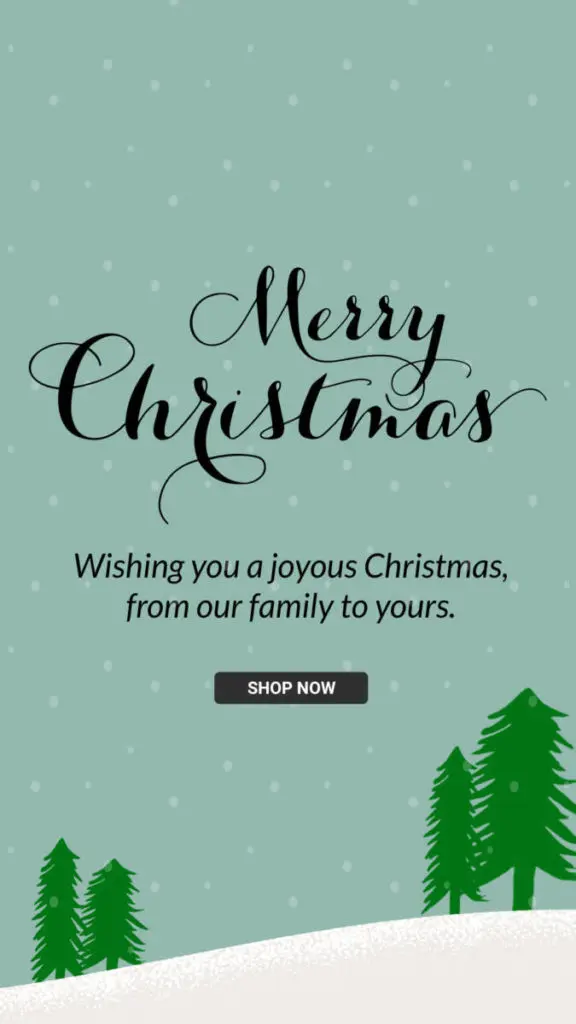 Merry Christmas - Christmas Collection Banner ad