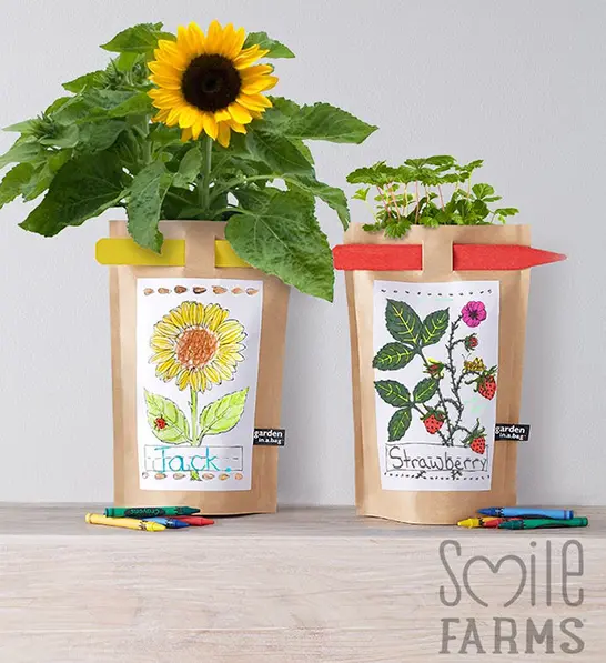 A photo of corporate gifting for the new year with two packets of seeds each with flowers coming out of them.