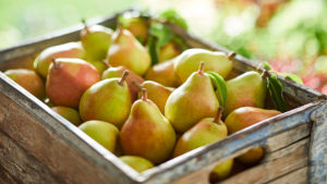 A photo of healthy fruit with a crate of ripes