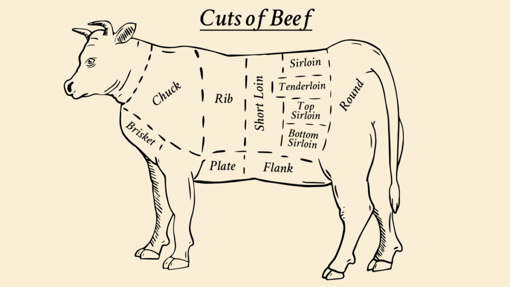 A diagram of a cow and the different cuts of beef