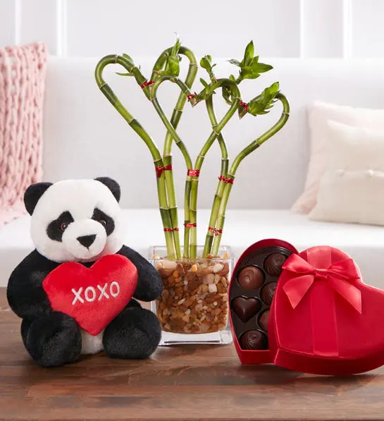 Sweet Heart Bamboo
