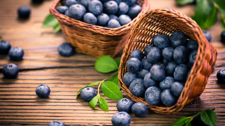 A photo of facts about blueberries with two baskets of blueberries on a wooden table with one of the baskets on its side