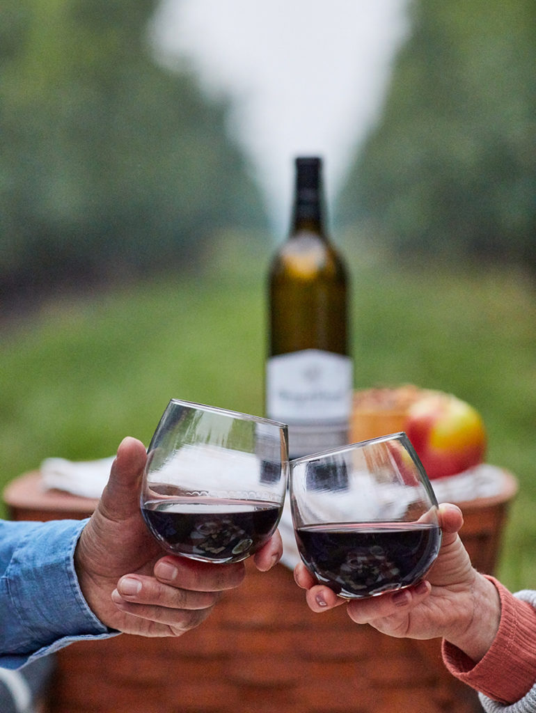 A photo of wine pronunciation with two hands clinking two glasses of red wine together with a bottle of red wine in the background.
