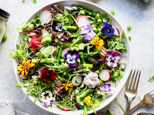 A photo of spring salad