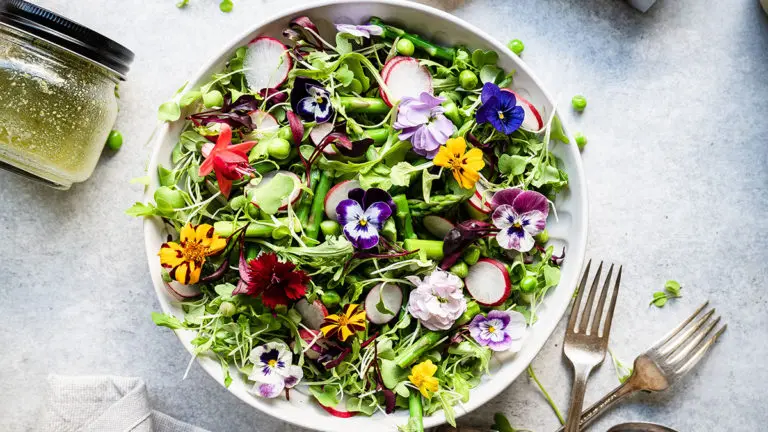 A photo of spring salad