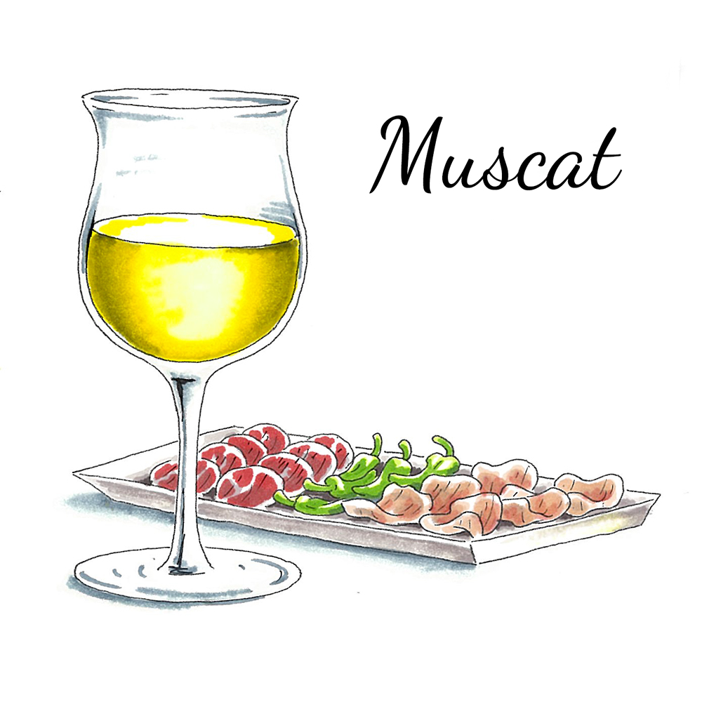 A photo of wine regions with a drawn glass of Muscat next to a plate of food