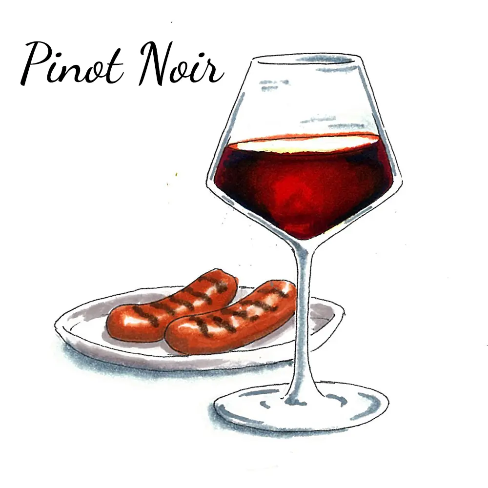 A photo of wine regions with a drawn glass of pinot noir next to a plate of food