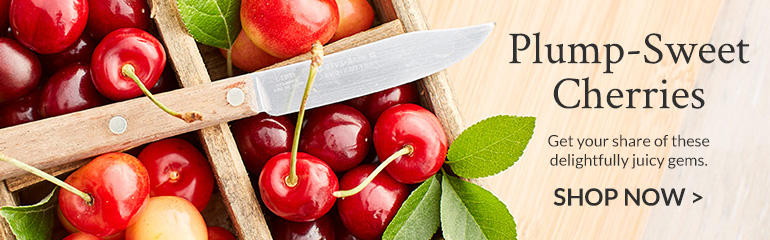 plump sweet cherries ad