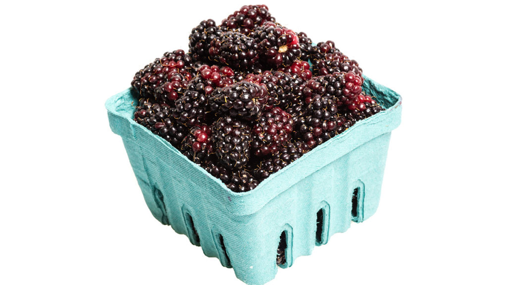 Photo of marionberry with a box of berries