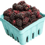 Photo of marionberry with a box of berries