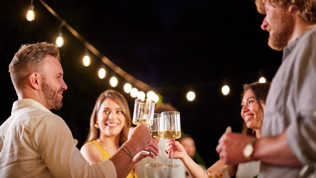 Party themes for adults with a group of people drinking wine outside.
