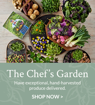 The Chefs Garden - Vegetables Collection Banner ad